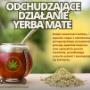 odchudzające działanie Yerba Mate