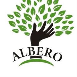 Biuro usług księgowych - Albero