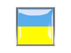Tłumacz in