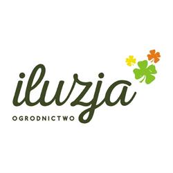 Iluzja Hurtownia Kwiatów Projektowanie ogrodów Ogrodnictwo Dekoracje Wiklina Doniczki