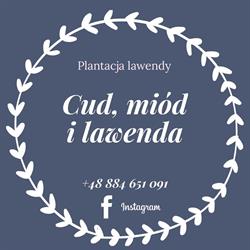 Cud, miód i lawenda