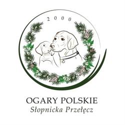 "Słopnicka Przełęcz" Hodowla ogara polskiego