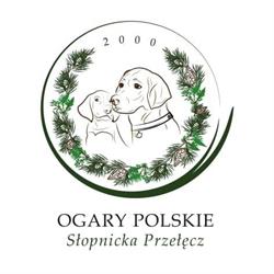 "Słopnicka Przełęcz" Hodowla ogara polskiego