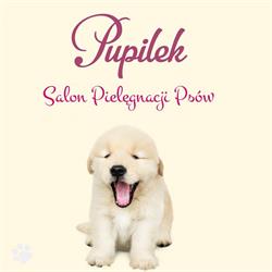 Psi Fryzjer Pupilek Salon Pielęgnacji Psów