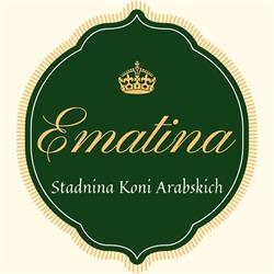 Stadnina Koni Arabskich Ematina