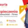 Baner insuria