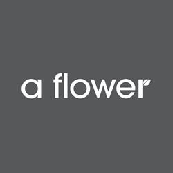 a flower Hurt Kwiatów i Artykułów Dekoracyjnych