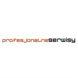 Profesjonalne Serwisy