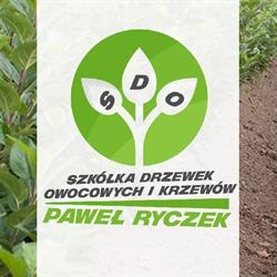 Drzewka owocowe w Zasowie - Paweł Ryczek