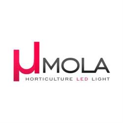 Umola sp. z o.o.