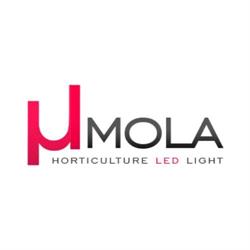 Umola sp. z o.o.