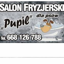 PUPIL - Salon fryzjerski dla psów Szczecin Psi Fryzjer