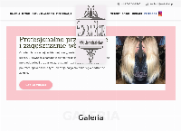 Strona internetowa z Elwira Hair