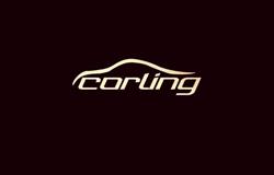 Corling Łukasz Snoch Auto Serwis VW Group Warszawa