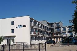 Larus