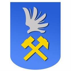Rada dzielnicy Osada Jana