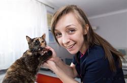 PODAJ ŁAPĘ Gabinet Weterynaryjny Joanna Sitkiewicz