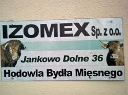 IZOMEX SP Z O O