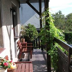 SenArt