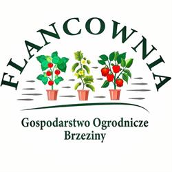 Gospodarstwo Ogrodnicze FLANCOWNIA