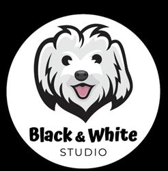 Black&White psi fryzjer