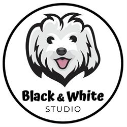 Black&White psi fryzjer