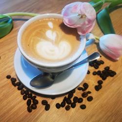 ScenaCafe Fryderyk