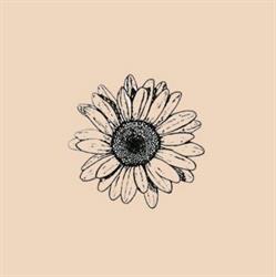 Family Flowers Plewiska