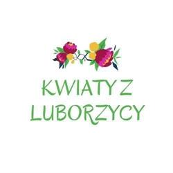 Kwiaty z Luborzycy