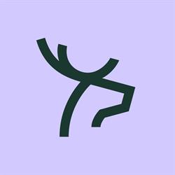 Purple Deer Studio