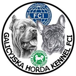 Galicyjska Horda FCI/ZKwP Cane Corso, Buldog Francuski