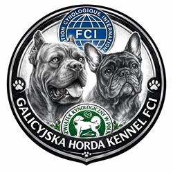 Galicyjska Horda FCI/ZKwP Cane Corso, Buldog Francuski