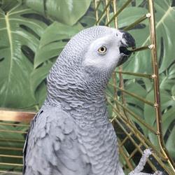 "U Violi" Sklep Zoologiczny Violetta Kuczera