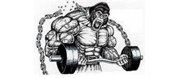 Animalgym Pawłowski Cezary