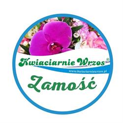 Kwiaciarnie Wrzos PPHU Pęcherzewski