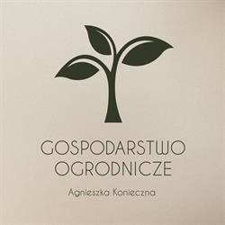 Konieczna Agnieszka Gospodarstwo Ogrodnicze