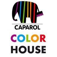 Color House Mariusz Urbański Piotr Kłosowski S.C.