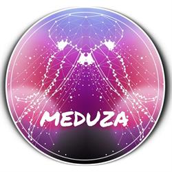Sklep Zoologiczny Meduza