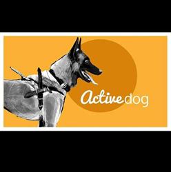 Szkolenie psów Active-Dog