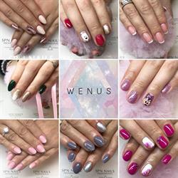 Studio Urody WENUS