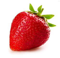 Lodziarnia Fragola Rzeszów