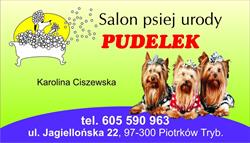Salon Psiej Urody Pudelek