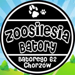 Zoosilesia Batory