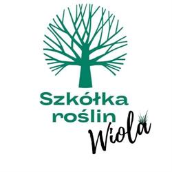 Szkółka Roślin Ozdobnych WIOLA
