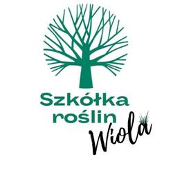 Szkółka Roślin Ozdobnych WIOLA