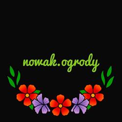 Drzewka i krzewy ozdobne - Nowak