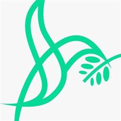 Fundacja Volto Amore