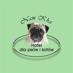 Hotel dla psów i kotów