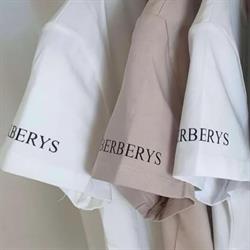 BERBERYS