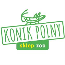 KONIK POLNY sklep zoo